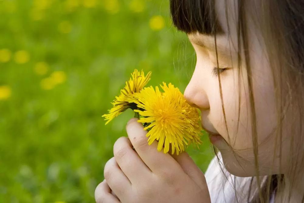 向春天出发跟着我走吧,向春天出发朗读