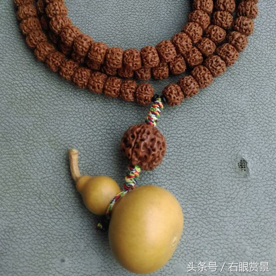 自己在家怎么挑选小金刚,小金刚选籽教程