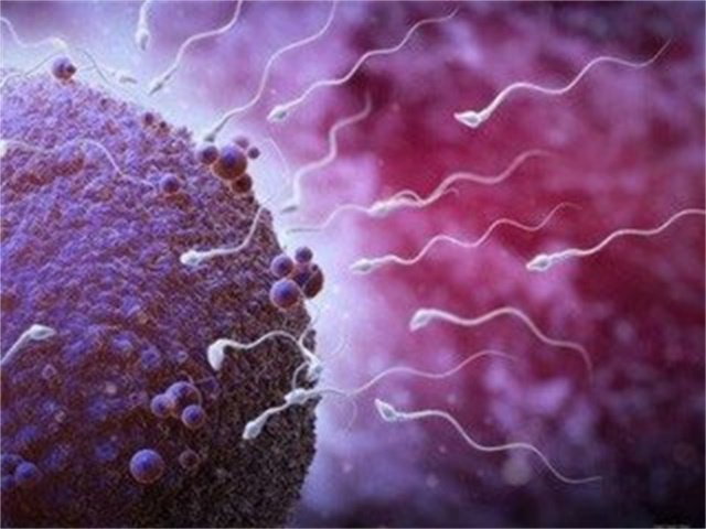 精子跑得慢是什么毛病,精子奋斗史