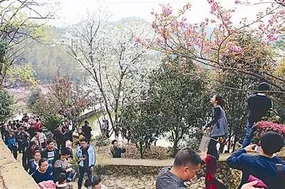 他来自闽北小城,误入服装行业,却打造了中国版Zara,年营收近百亿!