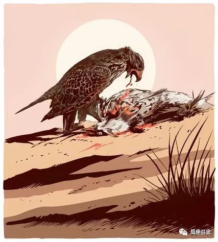 卡塔尔为了救王子，花费10亿美金，还导致126名无辜平民遇难……