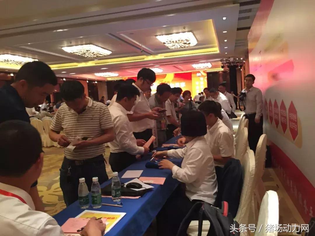 双胞胎饲料2015销量,双胞胎饲料2017年销售多少