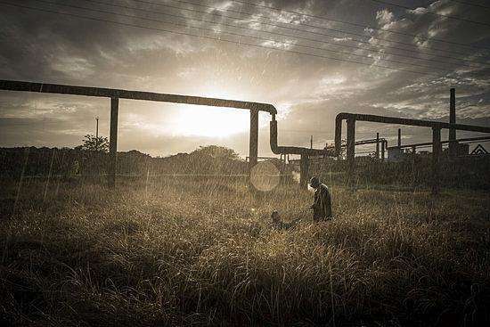 东北人影视形象,为什么东北影视发达