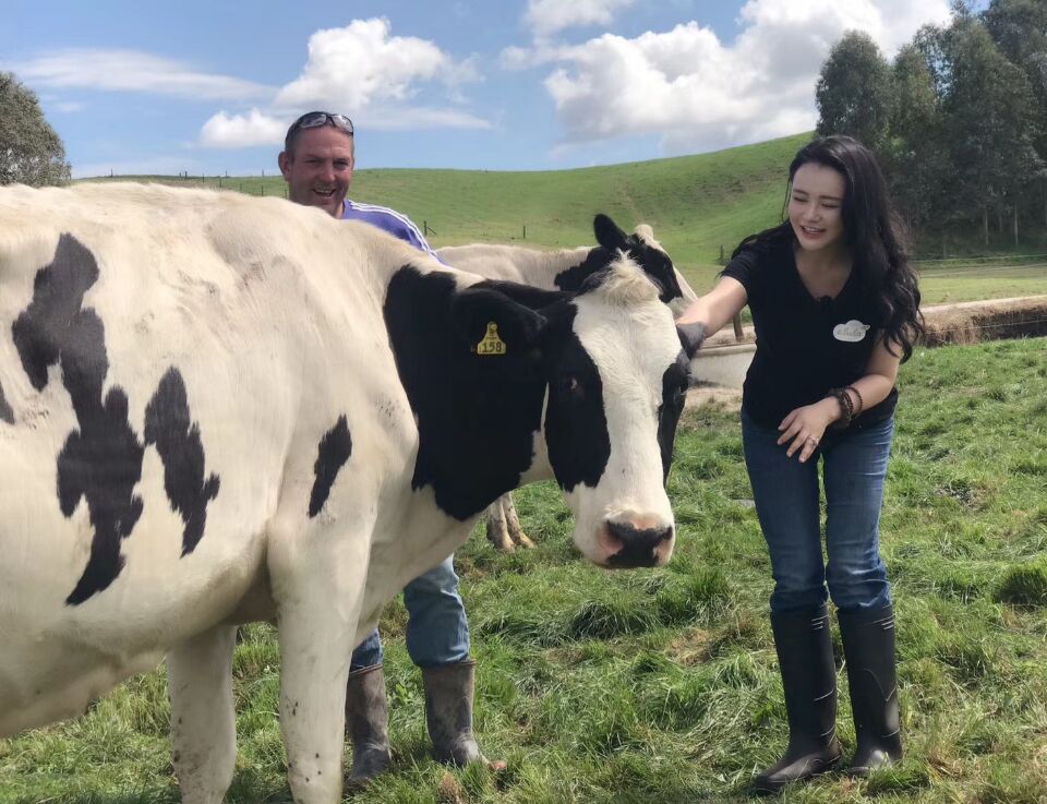 冉莹颖代言日本产品,冉莹颖央视女主持