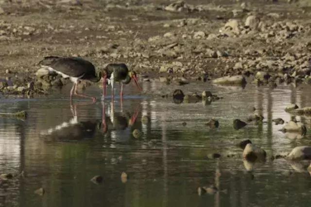 水映京城:千年古都水之梦