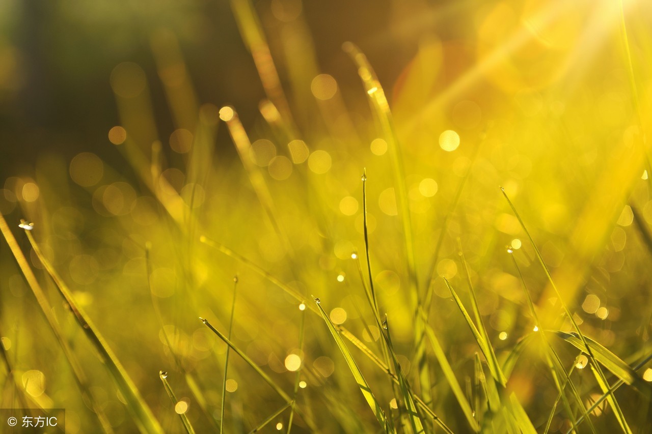 十个诞生在诗词中的成语,40个出自诗词的成语