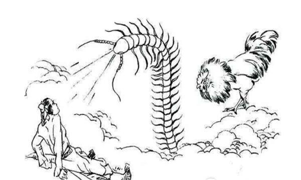 恶人为夺夜明珠，将金鸡“拔毛助长”，雄鸡舍身取义力克蜈蚣精！