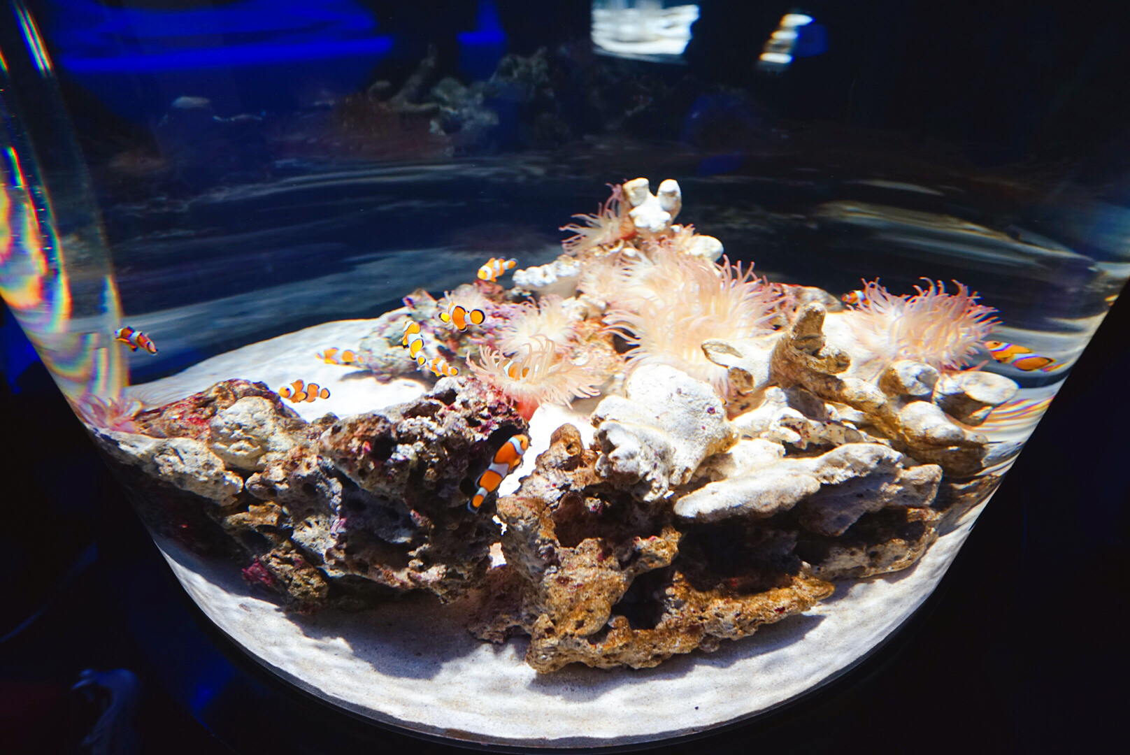 日本大阪之旅感受,日本自由行大阪游记