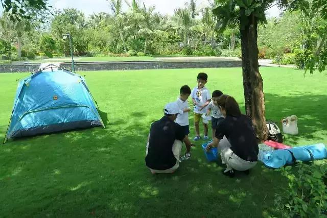 在海棠湾可以送哪些礼物,三亚值得给孩子带的礼物