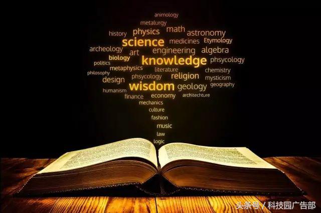 seo优化转行,转行seo有什么前途