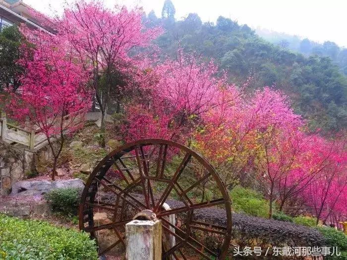 清明小长假旅游推荐,清明假期适合1-2天短途旅游