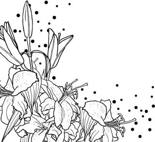 科玛旗下有哪些品牌,日本科玛原装进口