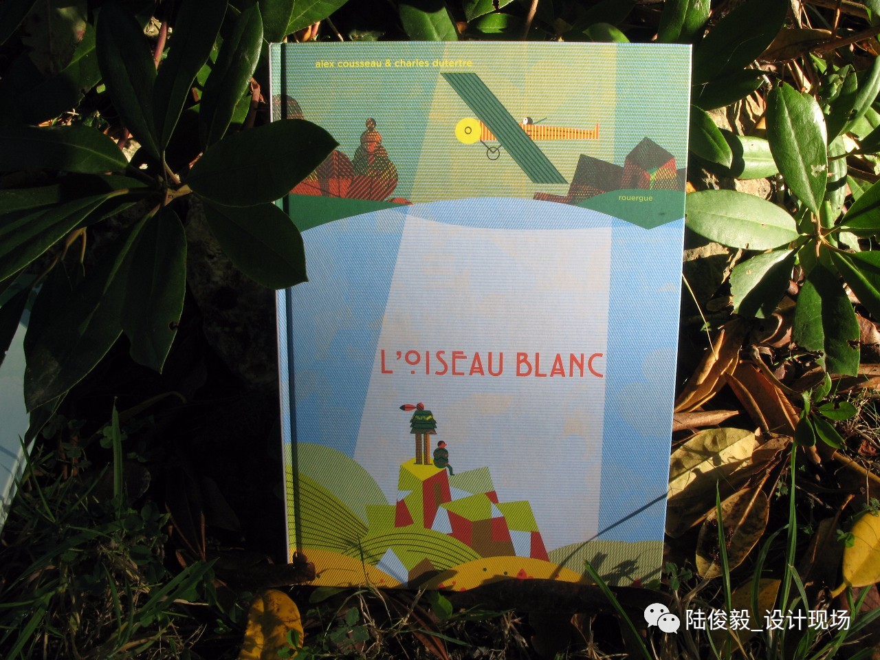 国际获奖26本绘本,2019年最佳绘本