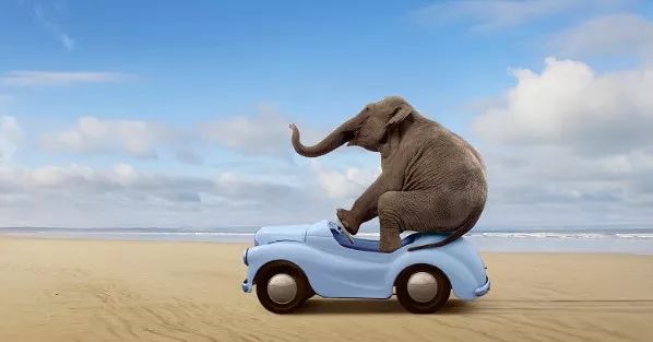 中国平安牵手一生,中国平安五岳祈福