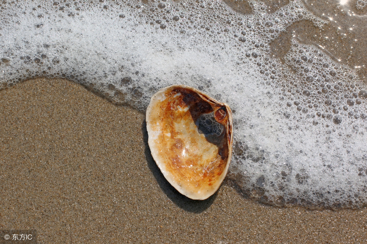 说一声珍重道一声晚安美文,单身女励志晚安发圈美文