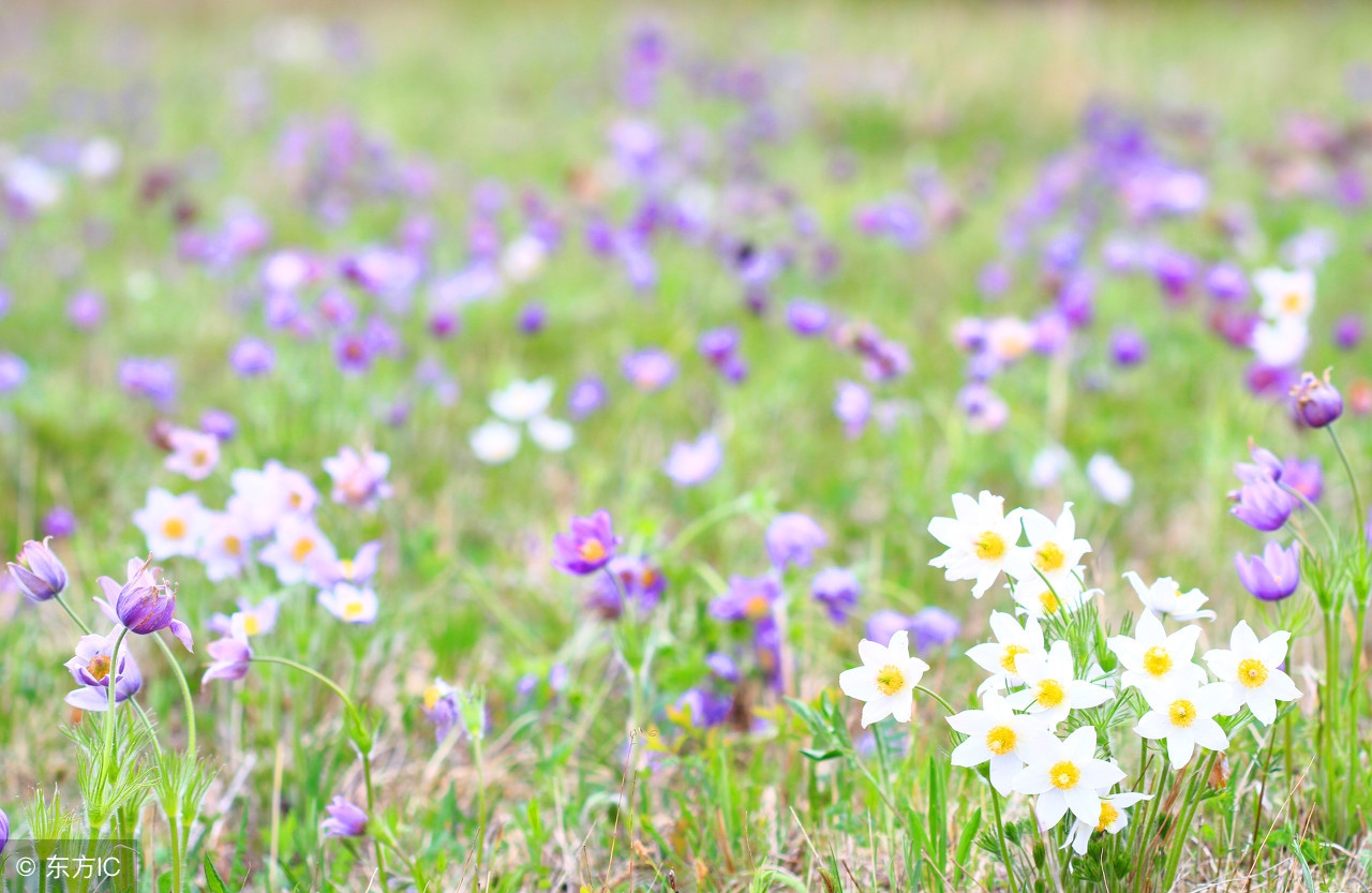 说一声珍重道一声晚安美文,单身女励志晚安发圈美文