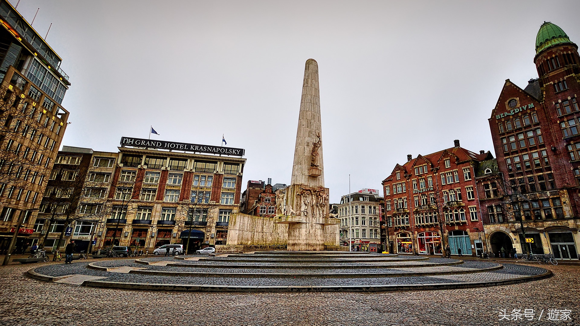 荷兰郁金香风光,维也纳冬天的花