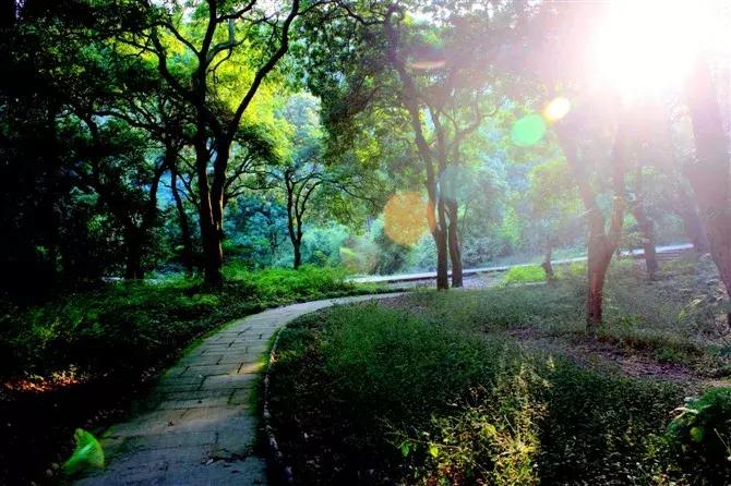 世界500强投资了300多家,泸州世界500强有哪些