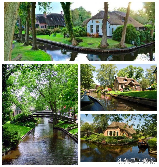 荷兰郁金香风光,维也纳冬天的花