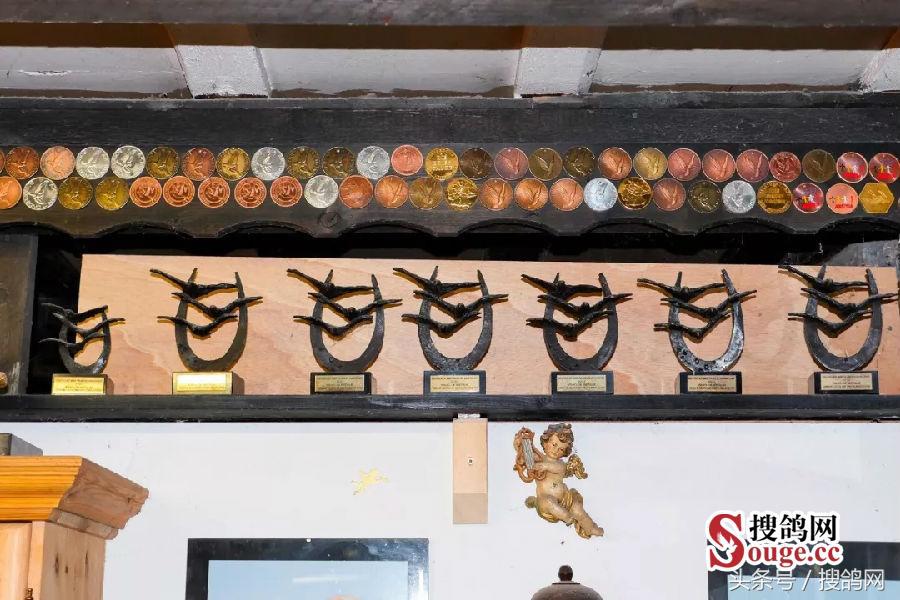 搜鸽网信息,赛鸽资讯知识分享