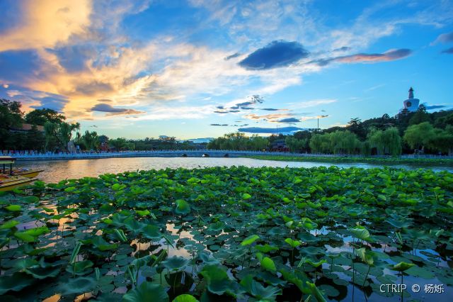 绗竴娆″幓鍖椾含鍗佹潯鎸囧崡,杩樻病鍘昏繃鍖椾含