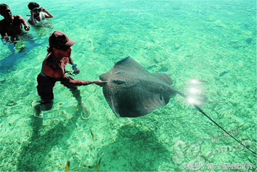 去大溪地旅游多少费用一周,去大溪地的费用