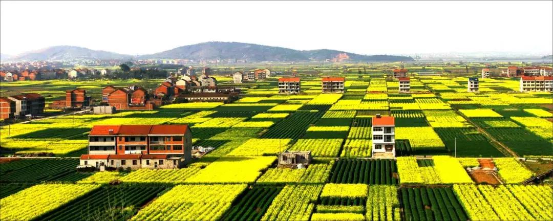 中国三年一评,三年评先进