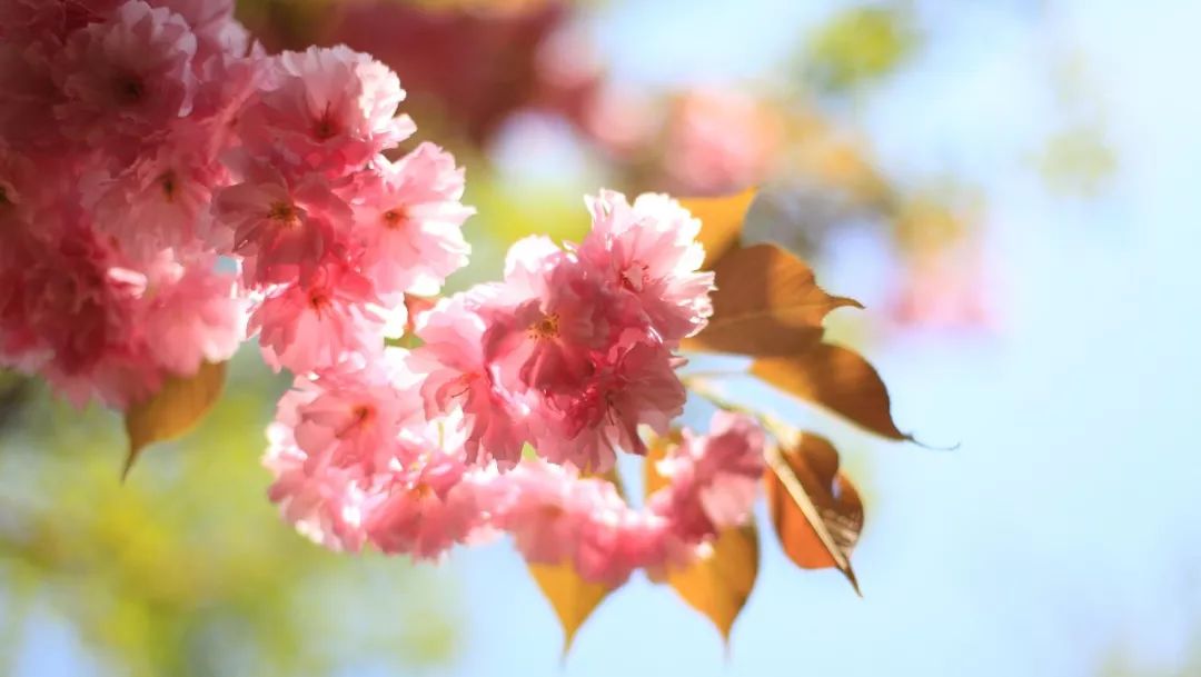 大连又好玩又拍照好看的地方,大连有什么拍照的好去处