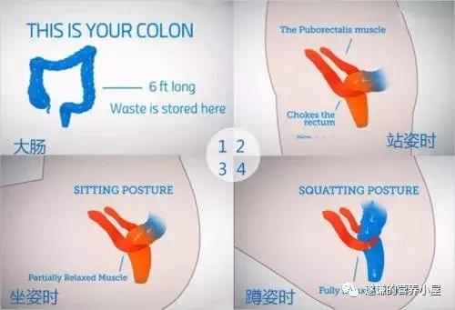 缓解便秘的最快方法动作,缓解便秘的小妙招做法