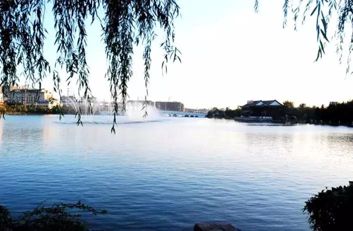 滨海，向全世界发出邀请！