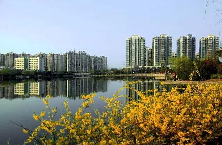 滨海，向全世界发出邀请！