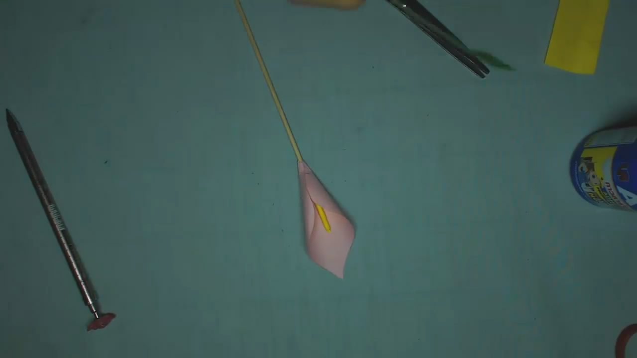 怎么让马蹄莲快速盛开,用简单的方法做一枝会开的莲花