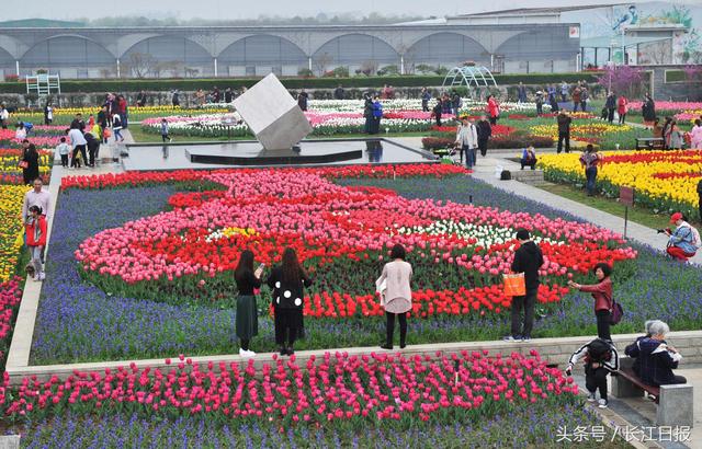 武汉又有人山人海的景象,武汉春节各地景区人山人海