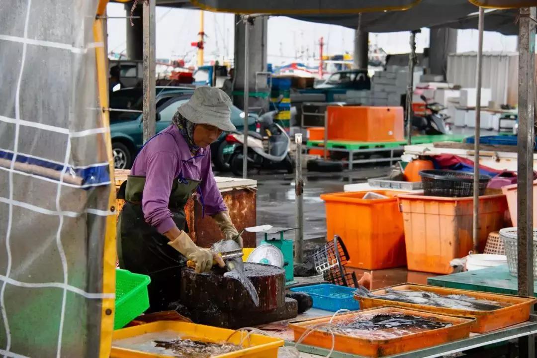 石沪捕鱼在福建哪里,石沪捕鱼游玩