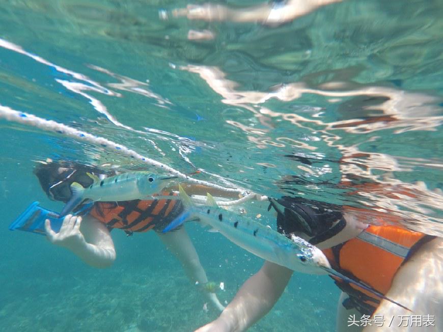 oppo手机在马来西亚的价目表,oppo销量称霸第一