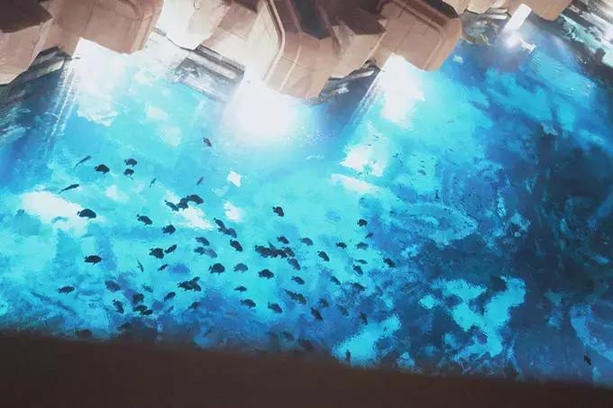 阿联酋迪拜大游轮,携程迪拜私家团