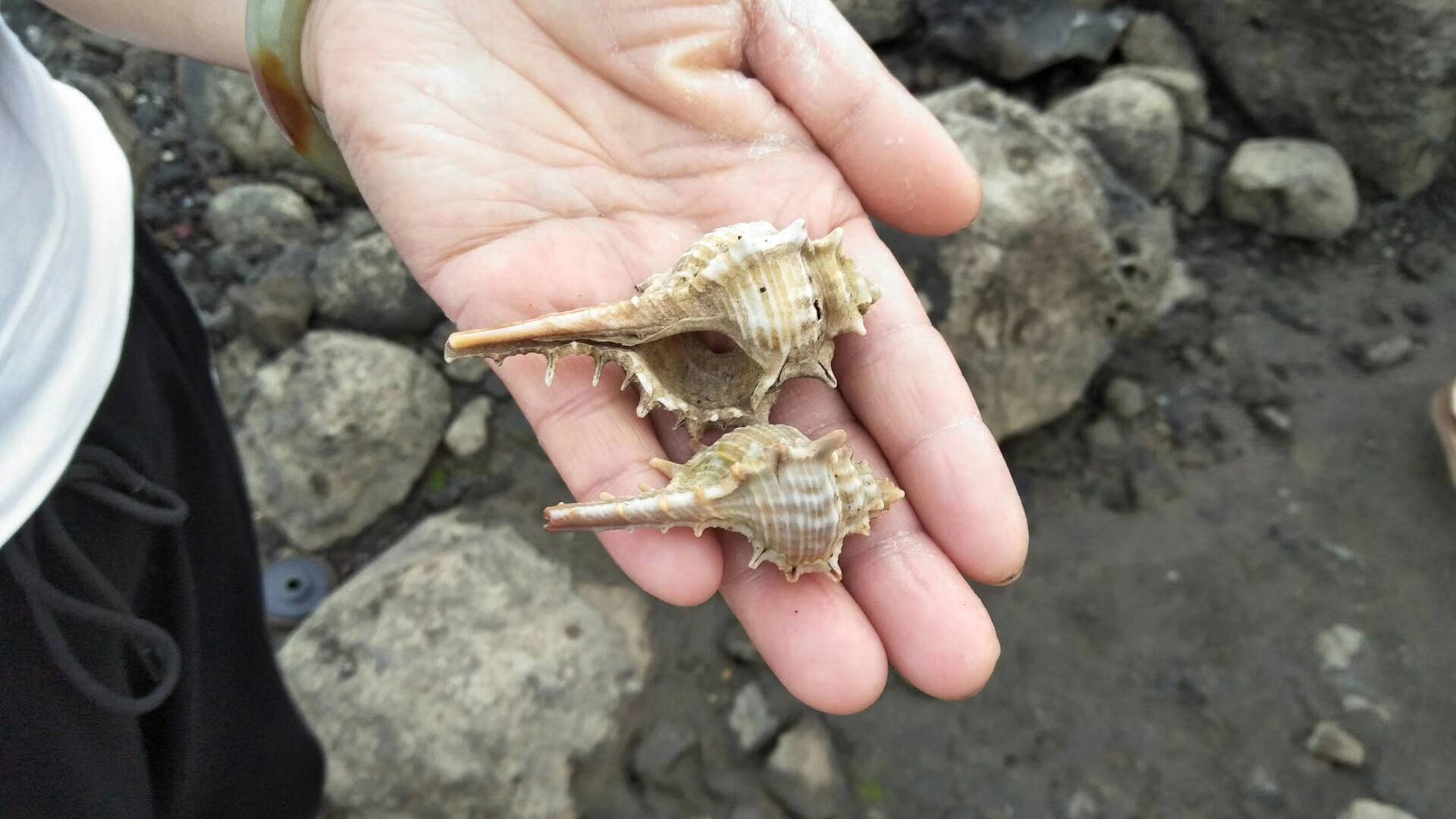 儋州最美海湾古盐田,海南儋州龙门激浪五彩湾