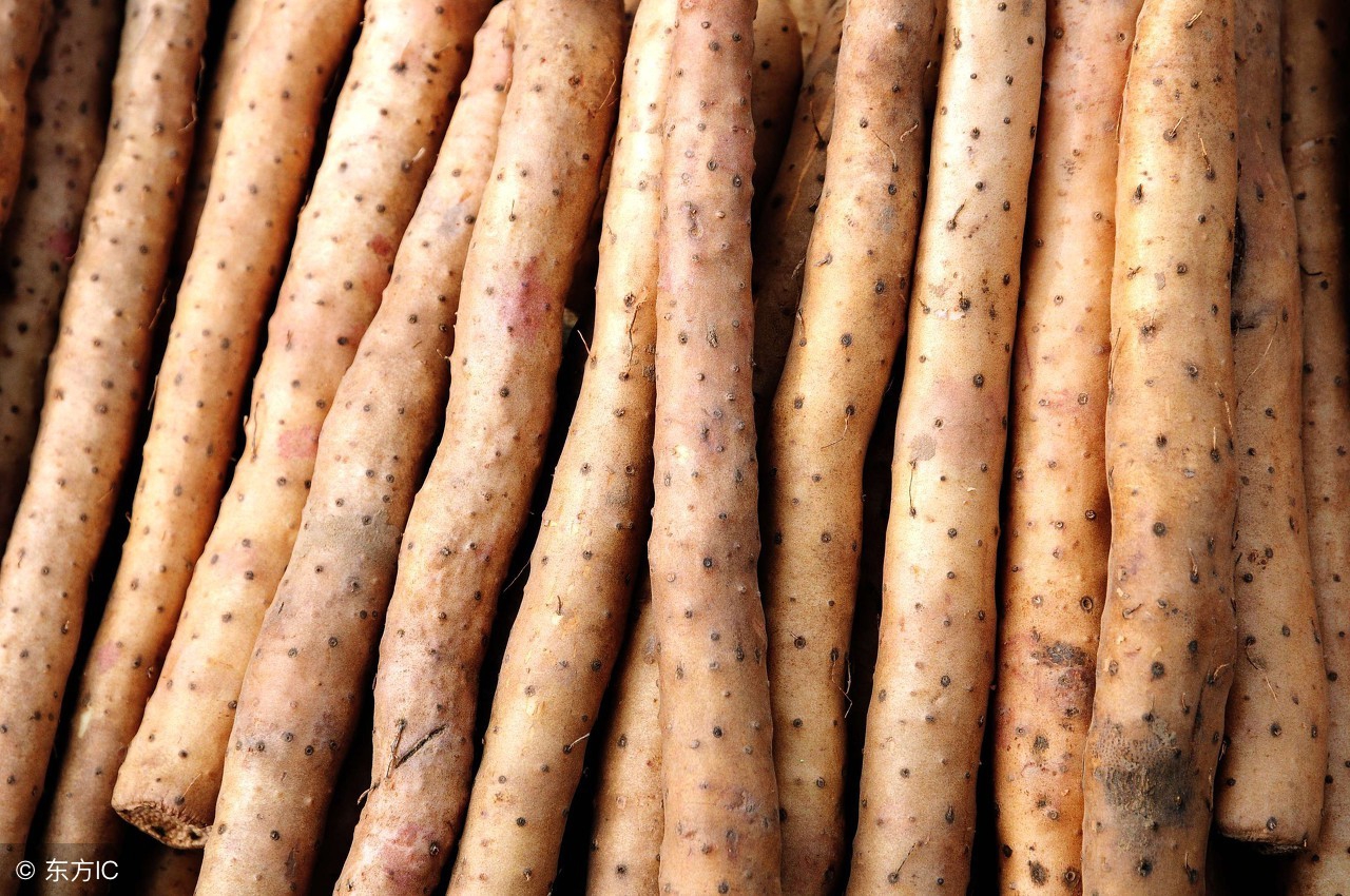 怎么挑出好吃的铁棍山药,怎样挑选最好的铁棍山药