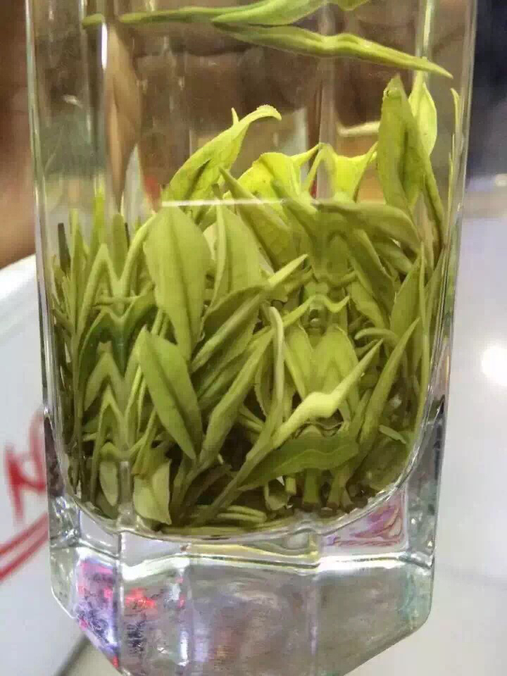 绿茶茶艺表演教程全过程,绿茶泡茶的茶艺表演流程