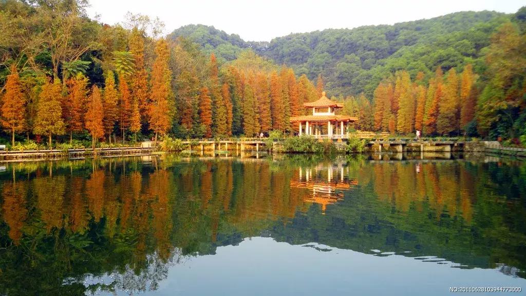 广东将建滨海景观公路路线图,广东未来第一长海滨公路