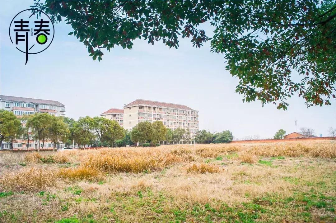 江西外语外贸学院新校区,下一站江西