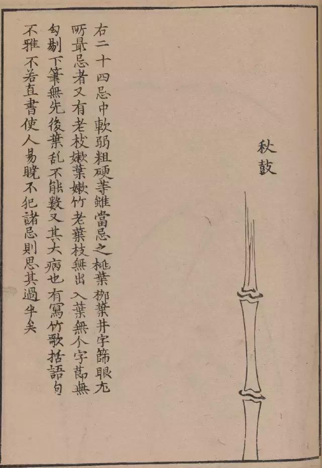 芥子园竹谱高清临摹,芥子园画谱原文