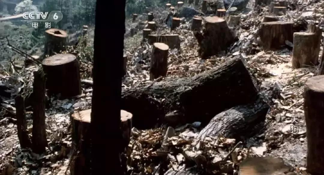 那个不为人知的故事真实改编,触目惊心的故事