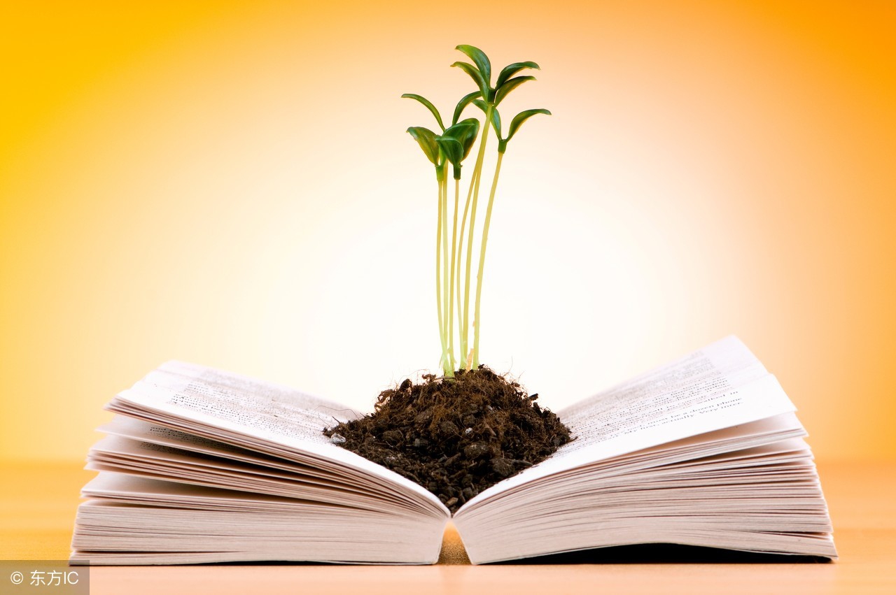 夸奖孩子有窍门，盘点那些影响孩子一生的细节