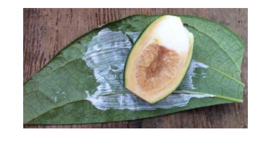 怎么能吃槟榔不上瘾,槟榔这么难吃为啥会上瘾