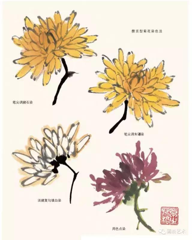 名家画菊花国画视频,徐湛画菊花国画入门教程