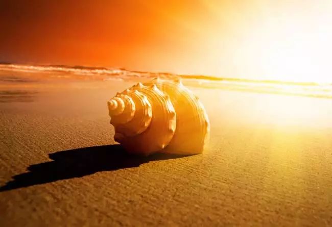 烦恼如盐是咸是淡是什么心情,烦恼如盐是什么心态