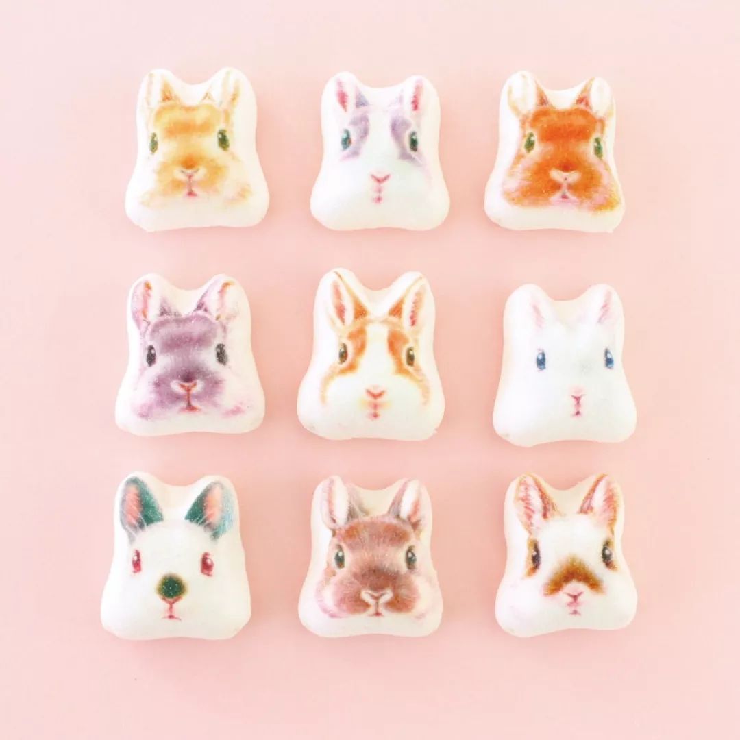 放开我的钱包啊！令猫奴闻风丧胆的种草大会！