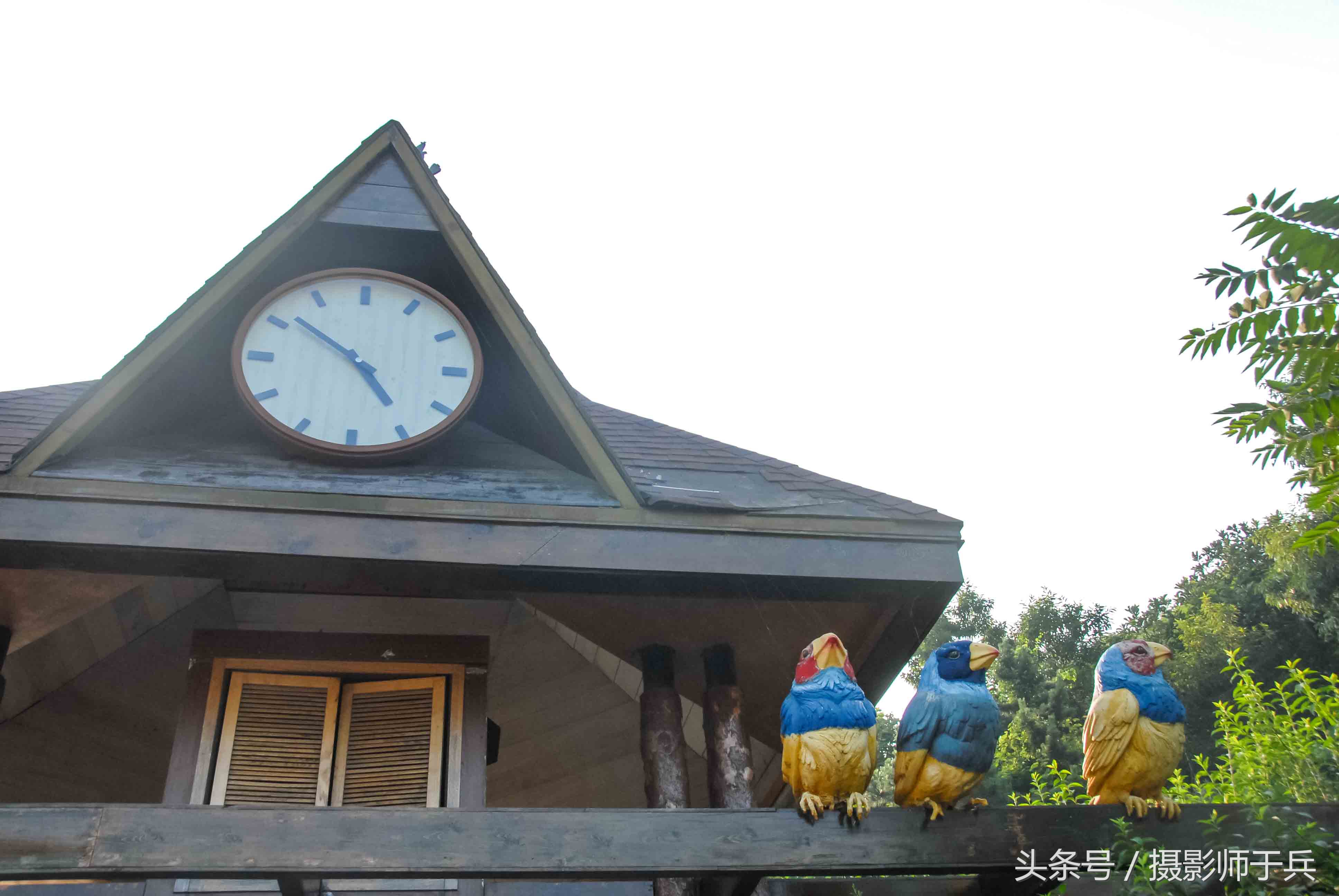 大连海洋主题公园在哪里,大连最著名的老虎滩海洋公园