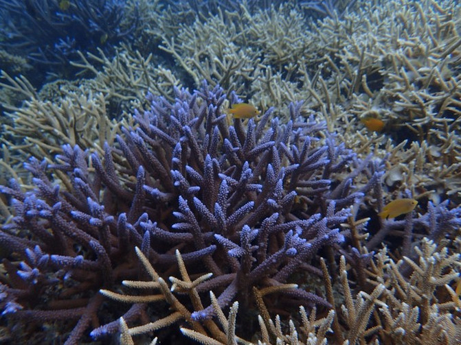 太平洋上的美丽岛屿,太平洋绝美海岛